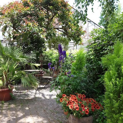 Schmucker Blumen & Pflanzen GmbH, Blumenladen in Nittenau