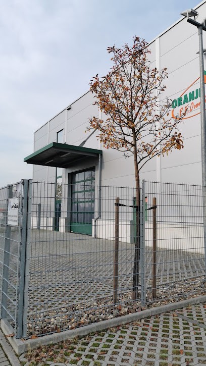 Oranje Blumen, Blumenladen in Hirschberg an der Bergstraße