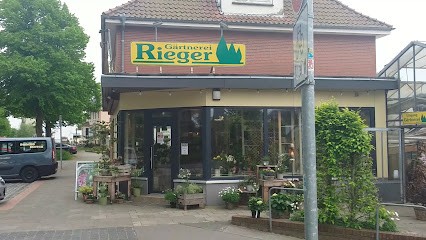 Gärtnerei Rieger - Floristik • Grabpflege • Begrünung • Blumen In Bremerhaven, Blumenladen in Bremerhaven