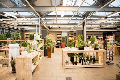 Blumen Fimpeler, Blumenladen in Dülmen