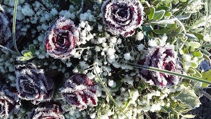 Ullmer, Blumenladen in Worms