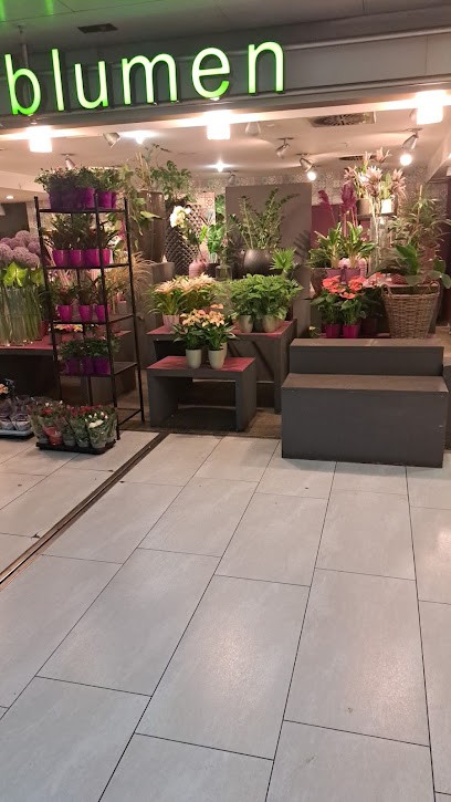 Bahn Blumen GmbH, Blumenladen in Düsseldorf