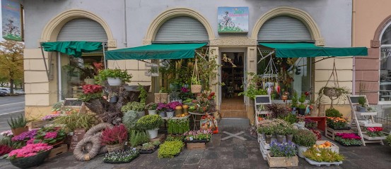 Julias-Blumenwelt - Offenbach, Blumenladen in Offenbach