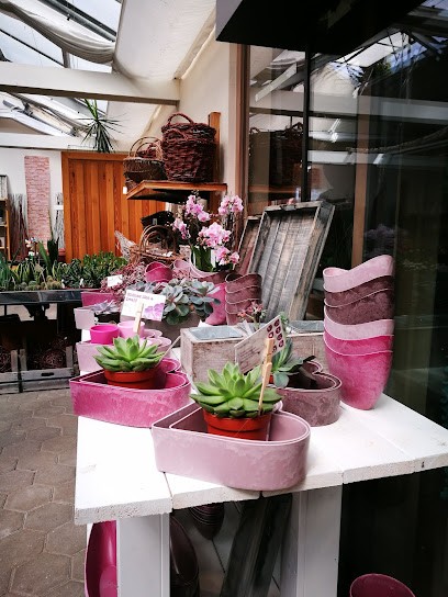 Thomas Tödter, Blumenladen in Bispingen