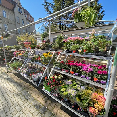 Christiane's Blumeneck, Blumenladen in Naumburg