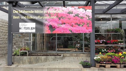 Blumenfachgeschäft- Hörnlen, Blumenladen in Weissach