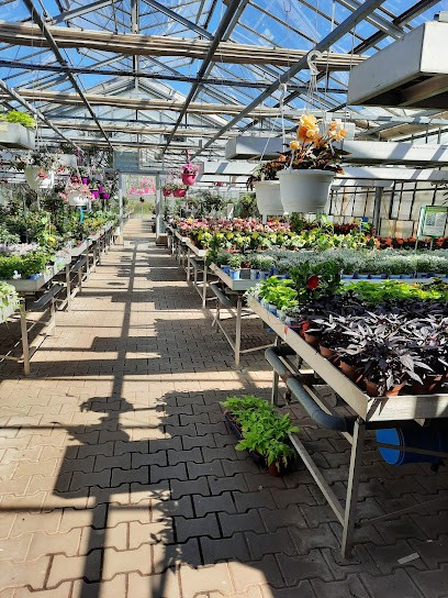 Blumen Wendler, Blumenladen in Hersbruck