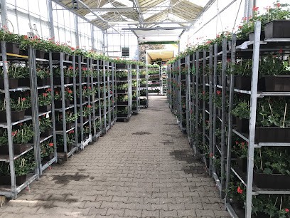 Blumen Weiss, Blumenladen in Lauf