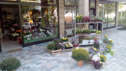 Lotte Haverkamp, Blumenladen in Lotte