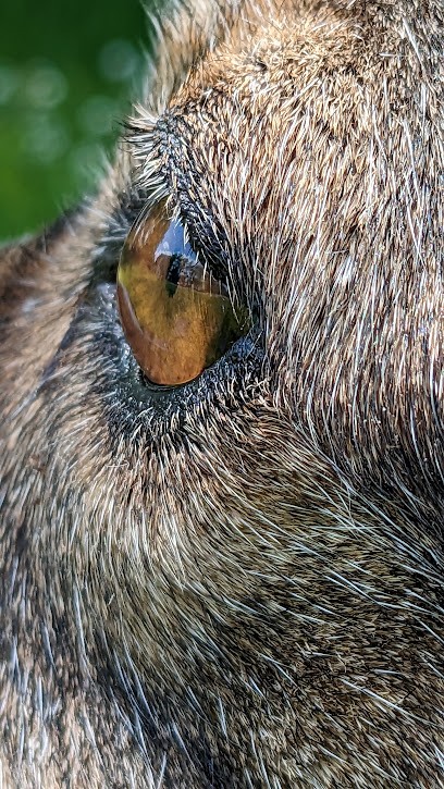 Blumen Am Friedhof Inh. Rene Willmeroth, Blumenladen in Burscheid