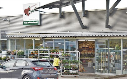 Blumen Charly, Blumenladen in Weil der Stadt