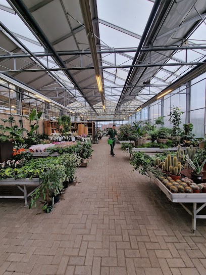 Blumen Schwering, Blumenladen in Vreden