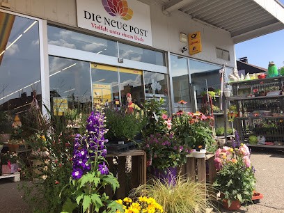 Die Neue Post Knittlingen, Blumenladen in Knittlingen