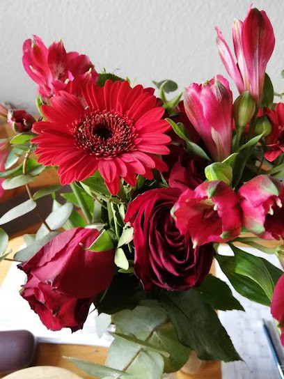 BLUME2000 Ahrensburg, Blumenladen in Ahrensburg