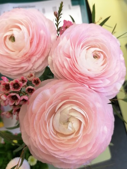 Maiwald Annett Blumen-Fee, Blumenladen in Reichenbach