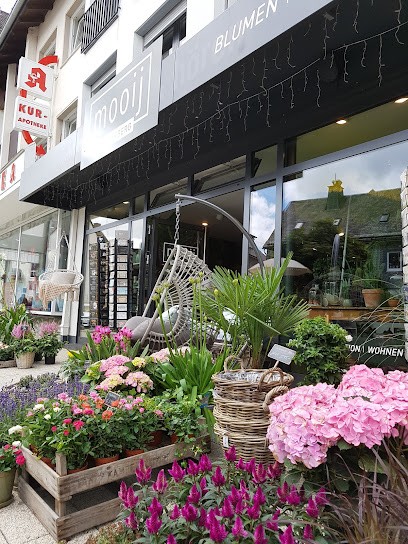 Mooij Flowers Design, Blumenladen in Winterberg