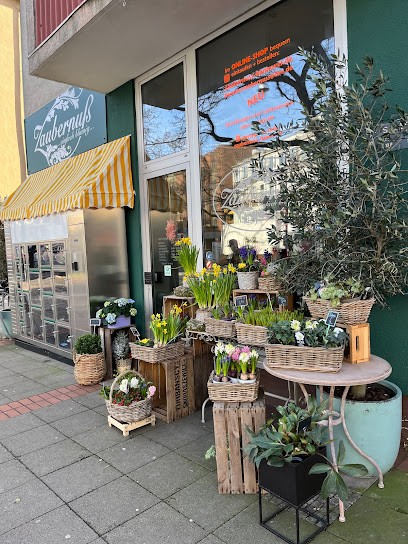 Blumen Zaubernuß, Blumenladen in Hannover