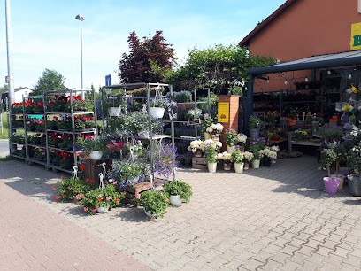 Blumen Tip, Blumenladen in Schönefeld