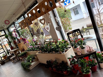 Blumen Pflanzen Bernhard E.K., Blumenladen in Sandhausen