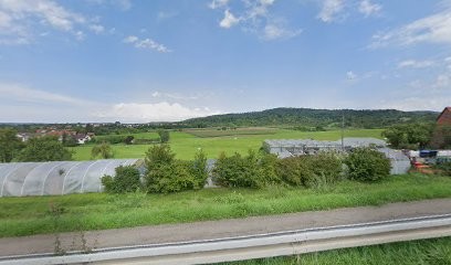 Werner Schock Gärtnerei, Blumenladen in Backnang