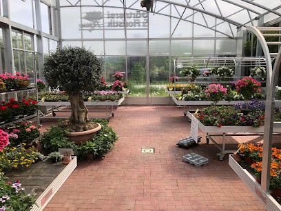 Gärtnerei & Floristik Rößler, Blumenladen in Steinigtwolmsdorf