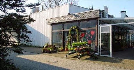 Blumenhalle Schmalzgrube - Gebr. Rütting GmbH, Blumenladen in Solingen