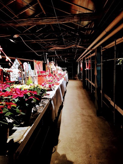 Blumengärtnerei Brunner, Blumenladen in Weiterstadt