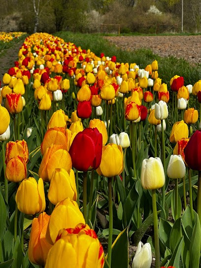 SB Blumenfeld Harald Funck, Blumenladen in Markkleeberg
