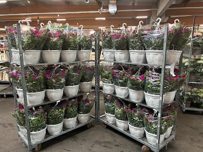 Blumen Frey, Blumenladen in Jülich