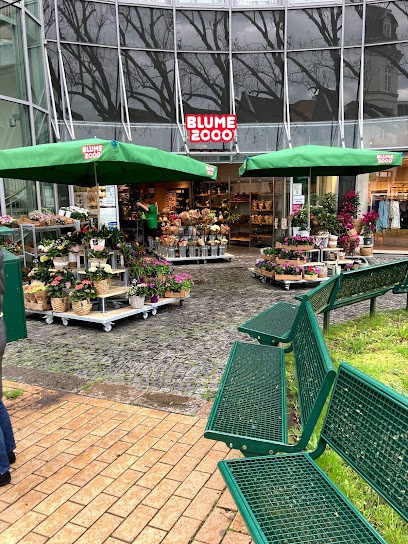 BLUME2000 Rendsburg, Blumenladen in Rendsburg