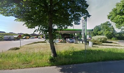 Detlef Buchwald Floristikbedarf Blumen, Blumenladen in Neustrelitz