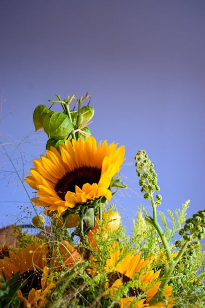 Martha Aufsfeld, Blumenladen in Waldfeucht