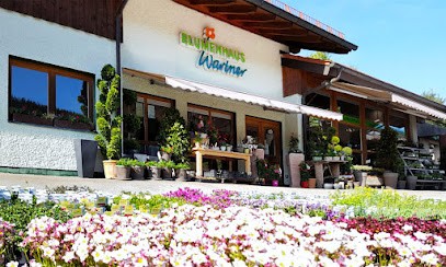 Blumenhaus Wartner, Blumenladen in Regen