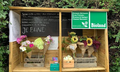 Erna Primula - Blumen & Saatgut, Blumenladen in Schwäbisch Hall