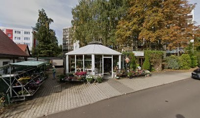 Aechtner Blumenladen, Blumenladen in Zeitz