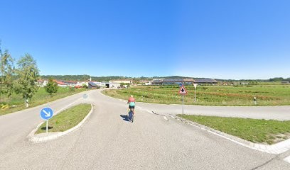 Blumen Selber Pflücken Pähl, Blumenladen in Pähl