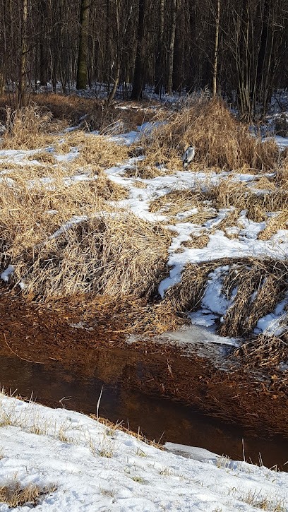 Lein, Blumenladen in Naunhof