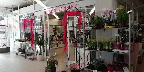 Blumen Leinsle, Blumenladen in Augsburg