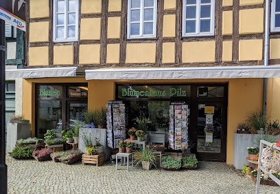 Blumenhaus Pilz, Blumenladen in Templin