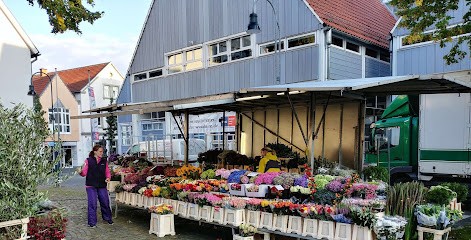 Blumen & Floristik Horstmann, Blumenladen in Rheda-Wiedenbrück