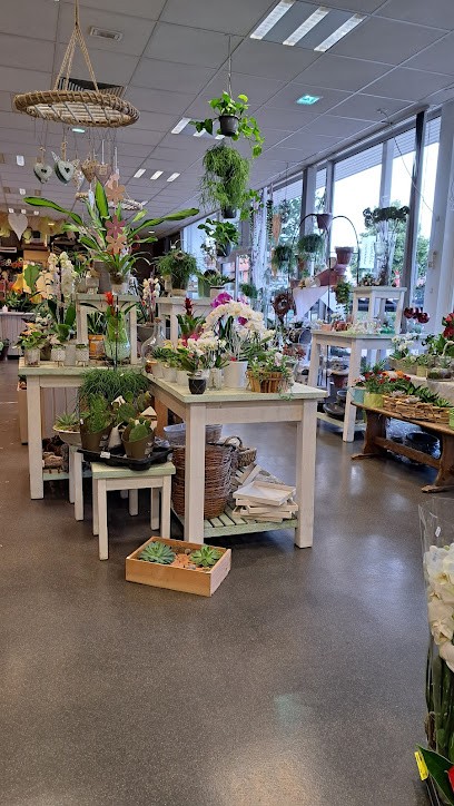 Anja's Blumenladen Anja Becker, Blumenladen in Hille