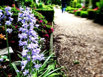 Blumen Borgmann, Blumenladen in Wesel