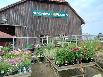 Brändel's Hofladen, Blumenladen in Wunstorf