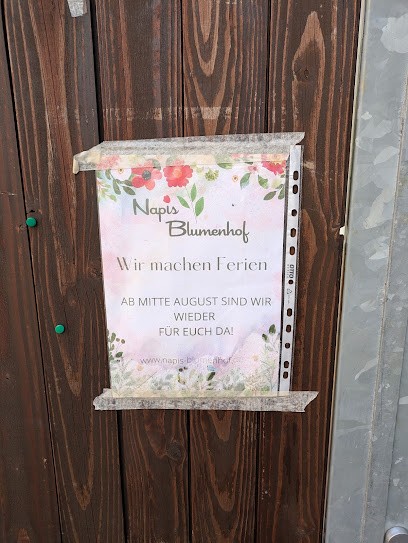 Napis Blumenhof, Blumenladen in Bergheim