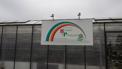 B & P Blumen und Pflanzen GmbH, Blumenladen in Moormerland