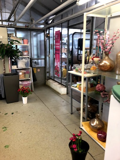 Blumen Steinbuch, Blumenladen in Ulm
