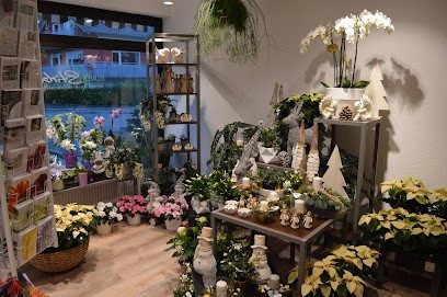 Blumen-Stirba GbR. Blumen mit Sti(e)l, Blumenladen in Freiburg im Breisgau