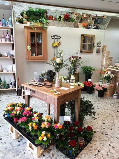 Strüsken Albersloh, Blumenladen in Sendenhorst