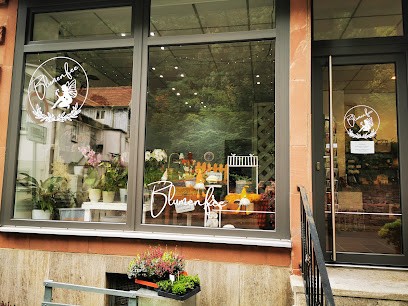 Blumenfee, Blumenladen in Freudenberg