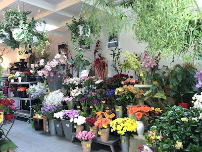 Blumenhaus Le Lan Falkensee, Blumenladen in Falkensee